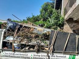 Best Demolition Debris Removal  in Sun City West, AZ